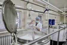 Молочные кухни запустят производство сыра и йогурта в Нижнем Новгороде 