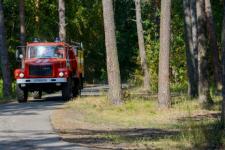 Усиленное патрулирование городских лесов организовано в Нижнем Новгороде  