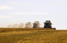 Нижегородские аграрии уже собрали свыше 1,5 млн тонн зерна 