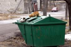 В Нижнем Новгороде угонщик, спасаясь от погони полицейских, врезался в мусорный бак 