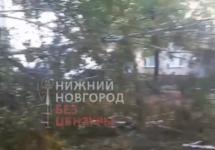 Упавшее дерево чуть не придавило девушку в Нижнем Новгороде  