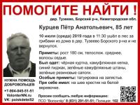85-летнего Петра Курцева ищут в Нижегородской области 