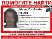 СК завел дело из-за исчезновения 15-летнего подростка в Нижнем Новгороде 