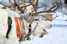 4 декабря православные празднуют Введение во храм Пресвятой Богородицы 