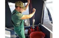 Росприроднадзор взял пробы волжской воды из-за замора рыбы в районе Заволжья 