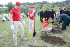 600 деревьев высадили в Печерском парке в Нижнем Новгороде  