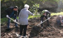 Нижегородцы заложили дубовую рощу на берегу Борзовки  