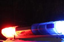 Полиция нашла водителя, испортившего благоустройство в парке Моховые горы 