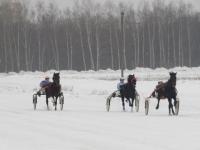 Зимний беговой сезон стартовал на Нижегородском ипподроме 