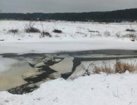 Нижегородец едва не утонул при спасении провалившейся под лед собаки 