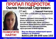 17-летний Николай Омлев пропал в Нижнем Новгороде 