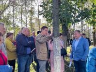 Изменение трассировки газопровода в Щербинках спасет около 160 деревьев 