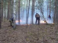 Туристы потушили лесной пожар у Керженского заповедника 