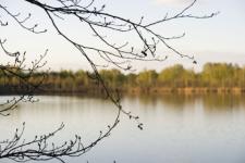 55-летний мужчина утонул в Светлоярском озере в Нижнем Новгороде 