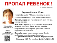 15-летний школьник Никита Сергеев пропал в Нижнем 