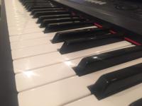 Фортепианный фестиваль Pianissimo стартует в Пакгаузах на Стрелке с 1 июля 