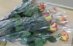 Нижегородские магазины цветов в нерабочие дни будут работать на доставку 