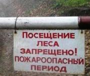 Соревнования по охотничьему ориентированию в Нижегородской области перенесены в связи с чрезвычайной пожароопасностью лесов  