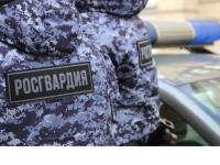 Нижегородские росгвардейцы задержали 64-летнего мужчину за порчу имущества больницы 