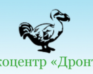 Нижегородский эко-центр «Дронт» продолжит свою работу как  общественное движение 