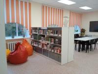 В Нижегородской области заработала 36-я по счету модельная библиотека 