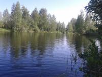 Водитель легковушки, опрокинувшейся в водоем, погиб в Нижегородской области 