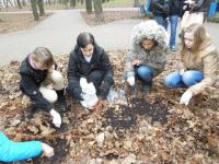 Нарциссы и тюльпаны высадили на клумбах в парке Кулибина в Нижнем Новгороде 