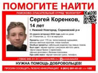 Пропавшего подростка пятые сутки ищут в Нижнем Новгороде 