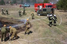 Более 80 случаев горения сухой растительности отмечено в Нижегородской области в апреле 