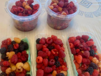 Спикер ЗСНО Евгений Люлин опубликовал фото осеннего урожая ягод 