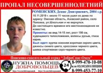 15-летнего Дениса Роменских ищут в Нижегородской области  