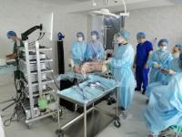 Хирурги НОЦ ПИМУ впервые провели операцию на живой свинье 