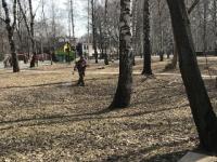 Нижегородский парк Пушкина обработали от клещей 