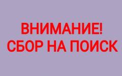 Срочный сбор на поиск пропавшей школьницы объявлен в Нижнем Новгороде 