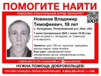 59-летний Владимир Новиков пропал в Починковском районе 