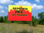 С начала 2015 года в Нижегородской области не произошло ни одного лесного пожара, - Горелов 