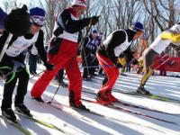 Более пятисот нижегородцев примут участие в лыжных соревнованиях 
