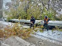 Больше 500 деревьев рухнули в Нижнем Новгороде в непогоду 17 октября 