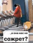 Нижегородского фитнес-тренера уволили за оскорбления в сторис 