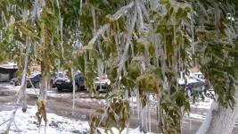Ледяной дождь ожидается в Нижегородской области 4 и 5 декабря 