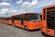 Сорок новых автобусов выведет на маршруты частный перевозчик в Нижнем Новгороде 