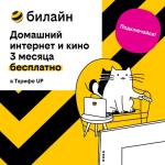 Базя, Пинг и Пуш сделают первые 3 месяца домашнего интернета с кинотеатром и цифровым ТВ бесплатными 