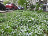 Первый снег в Нижнем Новгороде ожидается в ноябре  