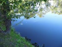 СК проводит проверку из-за гибели 15-летнего подростка на озере в Приокском районе 