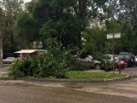 Дерево упало на автомобиль из-за сильного ветра в Нижнем Новгороде 