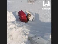 Кота в переноске бросили на заснеженном поле в Нижегородской области 