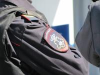 Задержанный искусал руки полицейским в Нижегородской области 