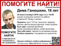 16-летний Дима Ганюшкин пропал в Нижнем Новгороде 