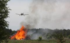 Четыре пожара произошло на землях лесного фонда Нижегородской области в 2022 году 
