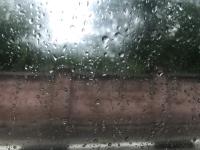 Дожди придут в Нижний Новгород 15 июля 